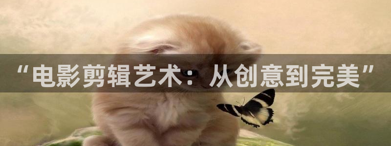 晴天影视下载官网：“电影剪辑艺术：从创意到完美”