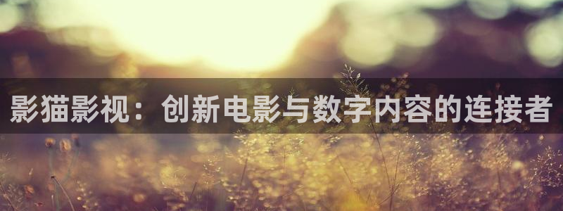晴天影视正版：影猫影视：创新电影与数字内容的连接者